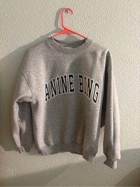 Anine Bing Light Gray Sweatshirt with White Label